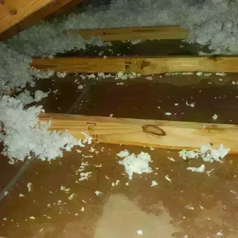 Attic Water Damage in Oak Ridge North, TX