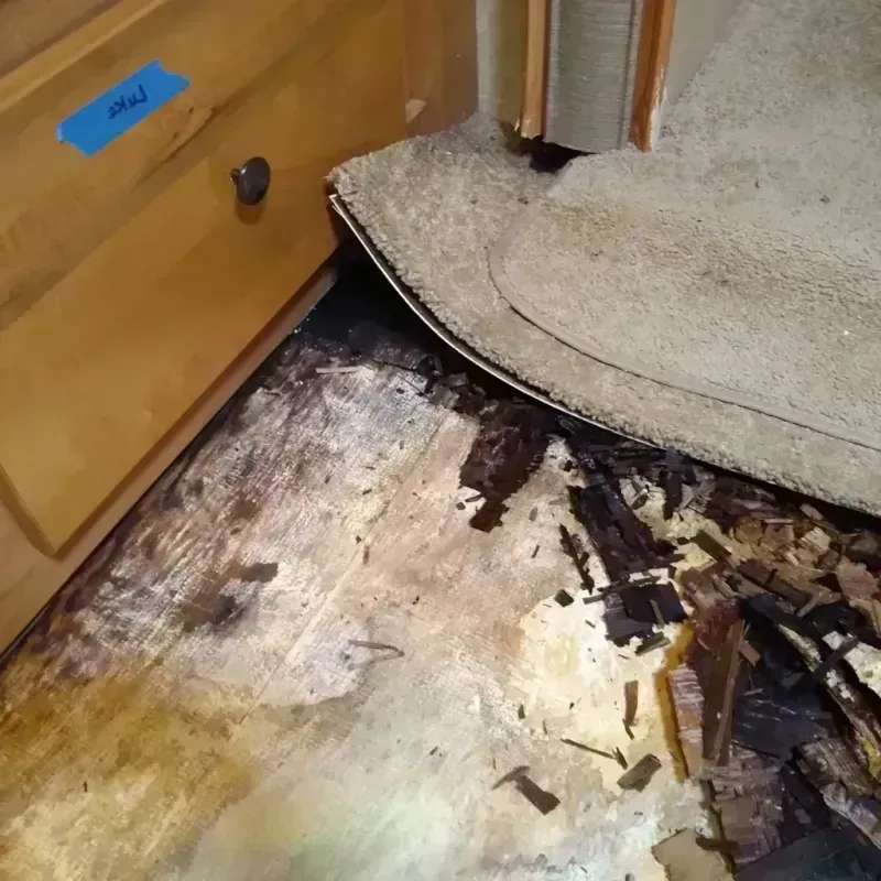 Wood Floor Water Damage in Oak Ridge North, TX